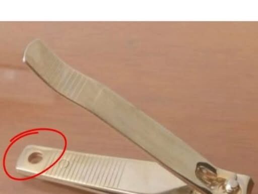 Potpuno će vas RASPAMETITI FUNKCIJA RUPICE NA GRICKALICI ZA NOKTE: Služi čak za 2 STVARI i ovo niko nije mogao ni da pretpostavi – nije tu samo zbog dekoracije Potpuno će vas RASPAMETITI FUNKCIJA RUPICE NA GRICKALICI ZA NOKTE: Služi čak za 2 STVARI i ovo niko nije mogao ni da pretpostavi – nije tu samo zbog dekoracije