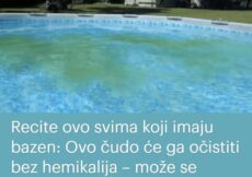 Recite ovo svima koji imaju bazen: Ovo čudo će ga očistiti bez hemikalija – može se nositi čak i sa mutnom vodom!