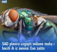 SAD planira uzgojiti milione muha i baciti ih iz aviona. Evo zašto