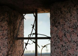 Šta je PTSP i kako prepoznati simptome? Šta je PTSP i kako prepoznati simptome?