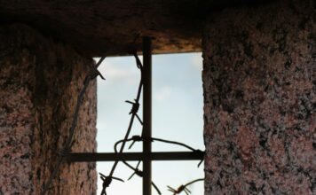 Šta je PTSP i kako prepoznati simptome? Šta je PTSP i kako prepoznati simptome?