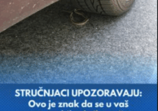 STRUČNJACI UPOZORAVAJU: Ovo je znak da se u vaš automobil sakrila zmija