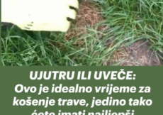 UJUTRU ILI UVEČE: Ovo je idealno vrijeme za košenje trave, jedino tako ćete imati najljepši travnjak