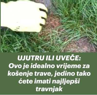 UJUTRU ILI UVEČE: Ovo je idealno vrijeme za košenje trave, jedino tako ćete imati najljepši travnjak