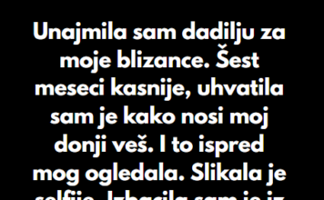 “Unajmila sam dadilju za moje blizance…” “Unajmila sam dadilju za moje blizance…”