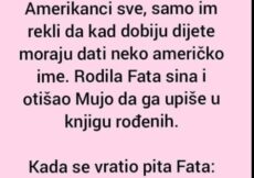 VIC DANA: Fata i Mujo u Americi