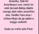 VIC DANA: Fata i Mujo u Americi