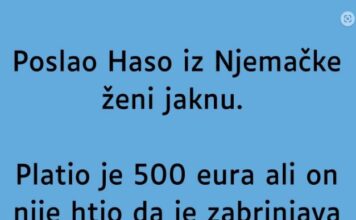 VIC DANA: Jakna VIC DANA: Jakna