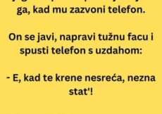 VIC DANA: Policajac na poslu