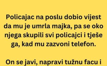 VIC DANA: Policajac na poslu VIC DANA: Policajac na poslu