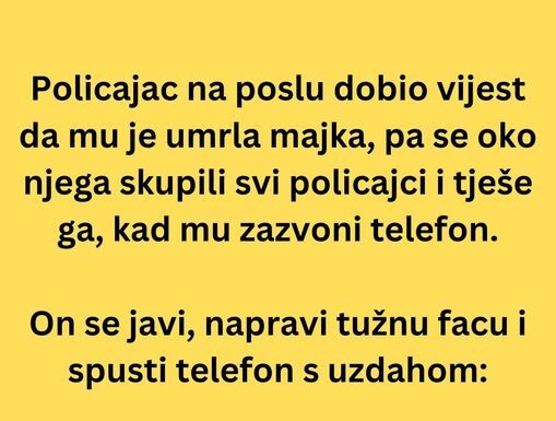VIC DANA: Policajac na poslu VIC DANA: Policajac na poslu