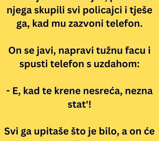 VIC DANA: Policajac na poslu