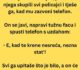 VIC DANA: Policajac na poslu