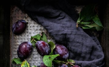 Za snažan puls i zdravu krv – birajte šljive Za snažan puls i zdravu krv – birajte šljive