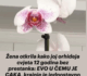Žena otkrila kako joj orhideja cvjeta 12 godina bez prestanka: EVO U ČEMU JE CAKA, krajnje je jednostavno