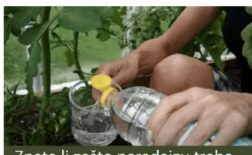 Znate li zašto paradajzu treba davati obično SIRĆE u julu? To je glavni razlog zašto mi svake godine svi moji susjedi zavide moju žetvu! Znate li zašto paradajzu treba davati obično SIRĆE u julu? To je glavni razlog zašto mi svake godine svi moji susjedi zavide moju žetvu!