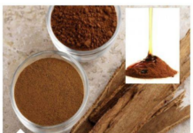 CIMET DIJETA SKIDA PET KILOGRAMA ZA SEDMICU DANA: Ovaj Napitak Pijte Dva Puta Dnevno CIMET DIJETA SKIDA PET KILOGRAMA ZA SEDMICU DANA: Ovaj Napitak Pijte Dva Puta Dnevno