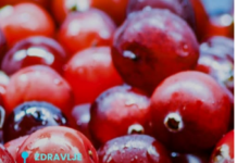 Dokazano najbolje voće za pamćenje i srce: Jeftino je i ima ga svuda, a pravo je blago Dokazano najbolje voće za pamćenje i srce: Jeftino je i ima ga svuda, a pravo je blago