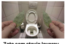 Evo zašto sam stavio lovorov list u kupatilo: Znale su već naše bake! Evo zašto sam stavio lovorov list u kupatilo: Znale su već naše bake!