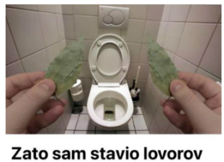 Evo zašto sam stavio lovorov list u kupatilo: Znale su već naše bake! Evo zašto sam stavio lovorov list u kupatilo: Znale su već naše bake!
