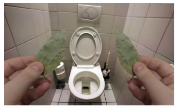 Evo zašto sam stavio lovorov list u kupatilo: Znale su već naše bake! Evo zašto sam stavio lovorov list u kupatilo: Znale su već naše bake!