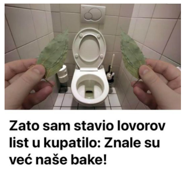 Evo zašto sam stavio lovorov list u kupatilo: Znale su već naše bake! Evo zašto sam stavio lovorov list u kupatilo: Znale su već naše bake!