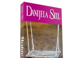 Nestao (Danijela Stil – audio knjiga)