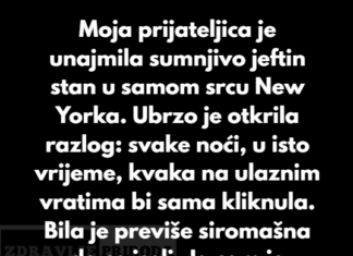 “Moja prijateljica je unajmila sumnjivo jeftin stan u samom srcu New Yorka…” “Moja prijateljica je unajmila sumnjivo jeftin stan u samom srcu New Yorka…”