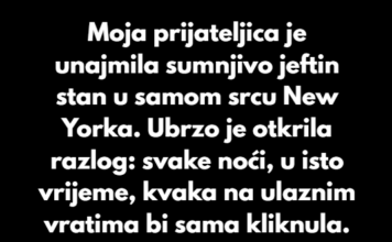 “Moja prijateljica je unajmila sumnjivo jeftin stan u samom srcu New Yorka…” “Moja prijateljica je unajmila sumnjivo jeftin stan u samom srcu New Yorka…”