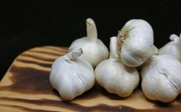 Prirodni načini da komarci bježe od vas Prirodni načini da komarci bježe od vas