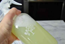 Savjeti U Kući Više Nećete Naći Paukove, Muhe Ili Prehrambene Moljce: Jednostavno Kućno Rješenje Koje će Ih TRAJNO 0tjerati (RECEPT)! Savjeti U Kući Više Nećete Naći Paukove, Muhe Ili Prehrambene Moljce: Jednostavno Kućno Rješenje Koje će Ih TRAJNO 0tjerati (RECEPT)!