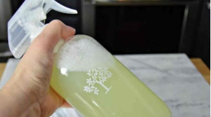 Savjeti U Kući Više Nećete Naći Paukove, Muhe Ili Prehrambene Moljce: Jednostavno Kućno Rješenje Koje će Ih TRAJNO 0tjerati (RECEPT)! Savjeti U Kući Više Nećete Naći Paukove, Muhe Ili Prehrambene Moljce: Jednostavno Kućno Rješenje Koje će Ih TRAJNO 0tjerati (RECEPT)!