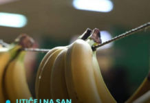 UTIČE I NA SAN: Evo šta će se desiti ukoliko budete svaki dan jeli banane UTIČE I NA SAN: Evo šta će se desiti ukoliko budete svaki dan jeli banane