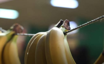 UTIČE I NA SAN: Evo šta će se desiti ukoliko budete svaki dan jeli banane UTIČE I NA SAN: Evo šta će se desiti ukoliko budete svaki dan jeli banane