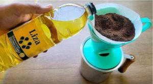 Uzmite obično ulje, ulijte ga u kafu i zapamtite ovaj savjet: Radim to svake godine i preporučujem svima! Uzmite obično ulje, ulijte ga u kafu i zapamtite ovaj savjet: Radim to svake godine i preporučujem svima!