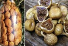 ČISTI BAKTERIJE I LIJEČI ŽELUDAC: Narodni lijek sa 40 smokava u 40 dana ČISTI BAKTERIJE I LIJEČI ŽELUDAC: Narodni lijek sa 40 smokava u 40 dana