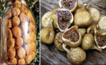 ČISTI BAKTERIJE I LIJEČI ŽELUDAC: Narodni lijek sa 40 smokava u 40 dana ČISTI BAKTERIJE I LIJEČI ŽELUDAC: Narodni lijek sa 40 smokava u 40 dana