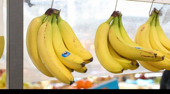 Devojka je jela samo i isključivo banane čak 12 dana: Htela je da očisti organizam, evo šta joj se na kraju desilo Devojka je jela samo i isključivo banane čak 12 dana: Htela je da očisti organizam, evo šta joj se na kraju desilo