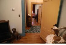 Evo što gostima prvo ‘zapne za oko’ kada vam dođu u posjet Evo što gostima prvo ‘zapne za oko’ kada vam dođu u posjet