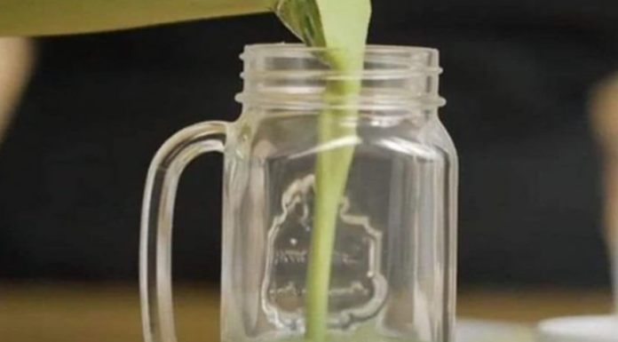 JETRA JE PREPUNA TOKSINA I VI SE DEBLJATE: Recept koji će za samo 72 sata u potpunosti očistiti jetru JETRA JE PREPUNA TOKSINA I VI SE DEBLJATE: Recept koji će za samo 72 sata u potpunosti očistiti jetru