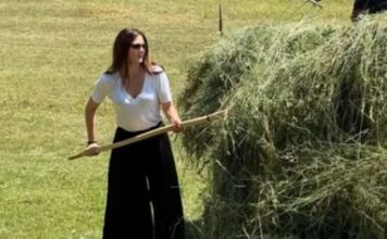 Prvo pokazala kako skuplja sijeno, a sada uživa u ovome: Glumica ima novi hobi koji je mnogima unosan posao Prvo pokazala kako skuplja sijeno, a sada uživa u ovome: Glumica ima novi hobi koji je mnogima unosan posao
