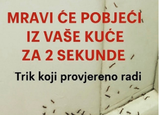 SAMO 1 KAP I MRAVI ĆE POBJEĆI IZ VAŠE KUĆE ZA 2 SEKUNDE…Najefikasni kućni TRIK… SAMO 1 KAP I MRAVI ĆE POBJEĆI IZ VAŠE KUĆE ZA 2 SEKUNDE…Najefikasni kućni TRIK…