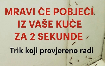 SAMO 1 KAP I MRAVI ĆE POBJEĆI IZ VAŠE KUĆE ZA 2 SEKUNDE…Najefikasni kućni TRIK… SAMO 1 KAP I MRAVI ĆE POBJEĆI IZ VAŠE KUĆE ZA 2 SEKUNDE…Najefikasni kućni TRIK…
