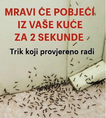 SAMO 1 KAP I MRAVI ĆE POBJEĆI IZ VAŠE KUĆE ZA 2 SEKUNDE…Najefikasni kućni TRIK… SAMO 1 KAP I MRAVI ĆE POBJEĆI IZ VAŠE KUĆE ZA 2 SEKUNDE…Najefikasni kućni TRIK…