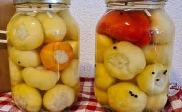 Turšijske paprike punjene kupusom, bez konzervansa i sirćeta: Od sada ćete ih praviti svake godine Turšijske paprike punjene kupusom, bez konzervansa i sirćeta: Od sada ćete ih praviti svake godine