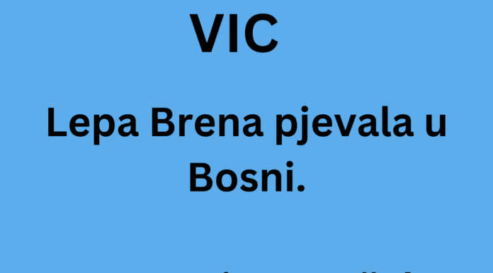 VIC DANA: Koncert Lepe Brene VIC DANA: Koncert Lepe Brene