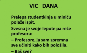 VIC DANA: Studentkinja u minjaku VIC DANA: Studentkinja u minjaku