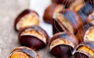 10 pogrešaka zbog kojih pečeni ili kuhani kesteni nisu dovoljno ukusni 10 pogrešaka zbog kojih pečeni ili kuhani kesteni nisu dovoljno ukusni