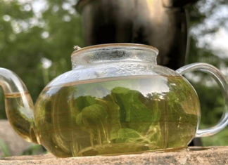 Čaj od Bosiljka: Prirodni Lijek za Disajne Puteve i Jačanje Imuniteta Čaj od Bosiljka: Prirodni Lijek za Disajne Puteve i Jačanje Imuniteta