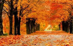 Do početka novembra nas očekuje toplo vrjeme Do početka novembra nas očekuje toplo vrjeme